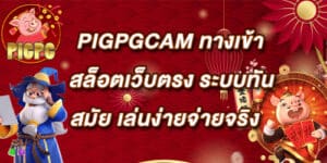 PIGPGCAM