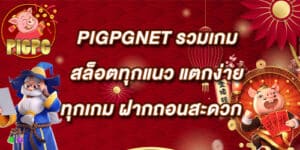 PIGPGNET
